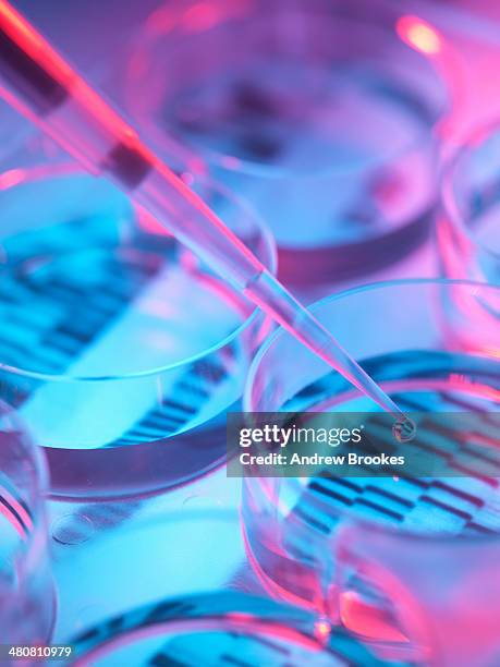 pipetting sample into tray for dna testing - recherche génétique photos et images de collection