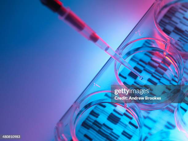 pipetting sample into tray for dna testing - forensisch stockfoto's en -beelden