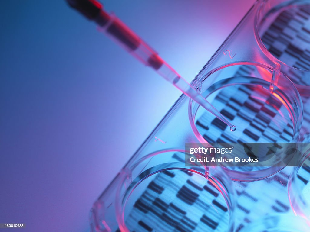 Pipetting sample into tray for DNA testing