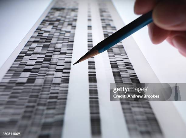scientist viewing dna gel used in genetics, forensic, pharma research, biotechnology and biomedical science - genome sequencing stock-fotos und bilder