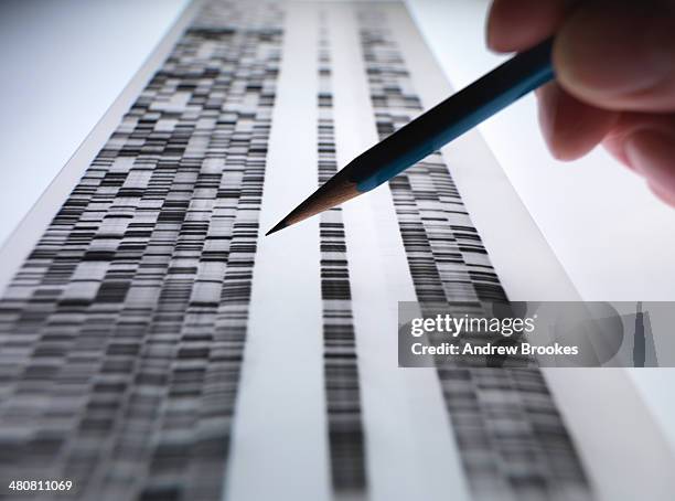 scientist viewing dna gel used in genetics, forensic, pharma research, biotechnology and biomedical science - polymer sequencing stock pictures, royalty-free photos & images