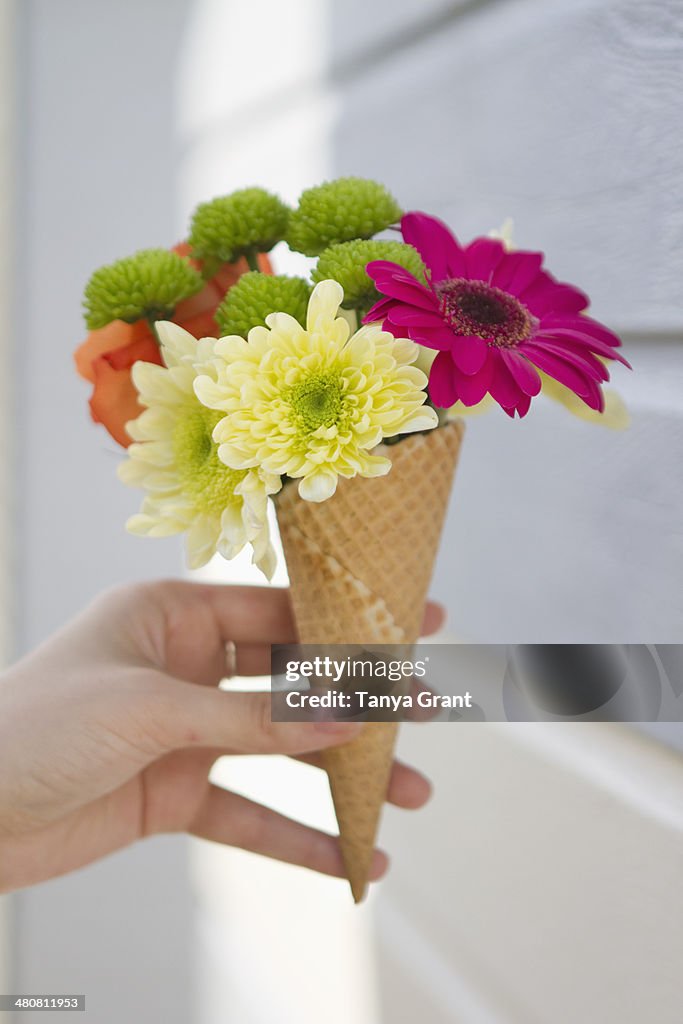 Detail of female hand holding flower cone