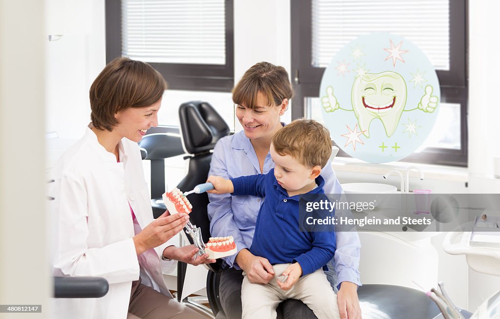 Dentist teaching boy on mothers lap how to brush teeth