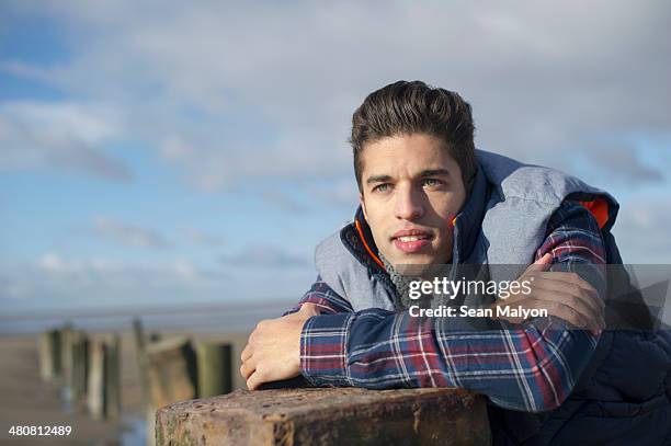 young man leaning on groyne, brean sands, somerset, england - sean malyon stockfoto's en -beelden