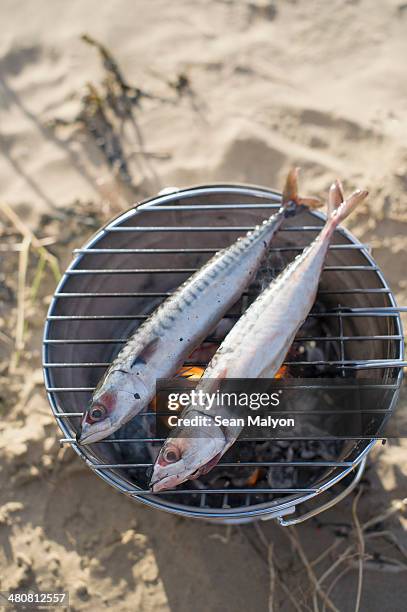 two fish cooking over hot coals - sean malyon stock pictures, royalty-free photos & images