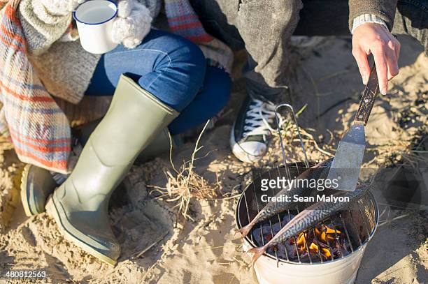 cooking fish on the beach - sean malyon stock pictures, royalty-free photos & images