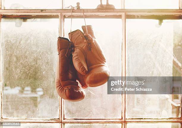 boxing gloves hanging on window - boxing gloves stock pictures, royalty-free photos & images