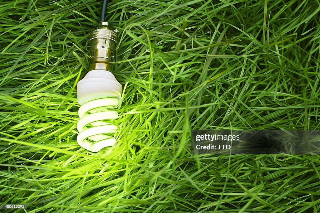 Still life of energy saving lightbulb on grass