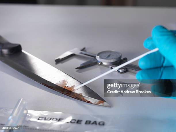 forensic investigation of knife from crime scene - bloody knife stockfoto's en -beelden