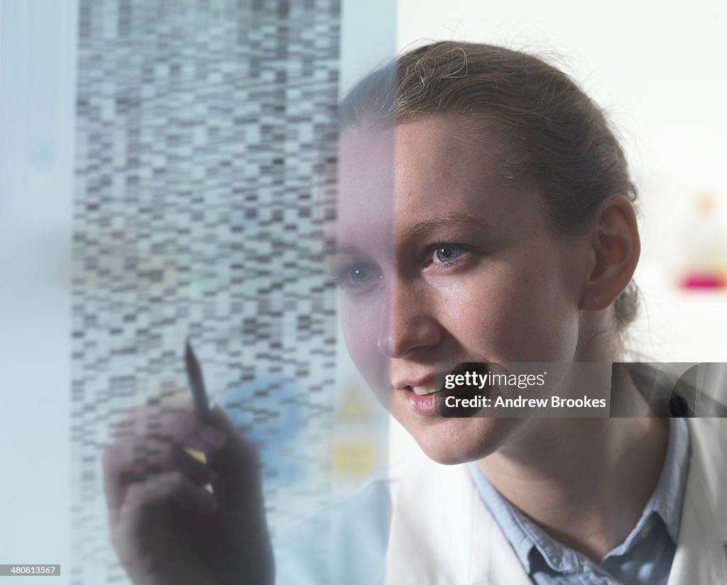 Female researcher examining DNA autoradiogram gel in laboratory