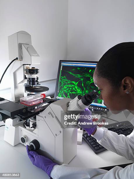 75 Inverted Microscope Stock Photos, High-Res Pictures, and Images ...