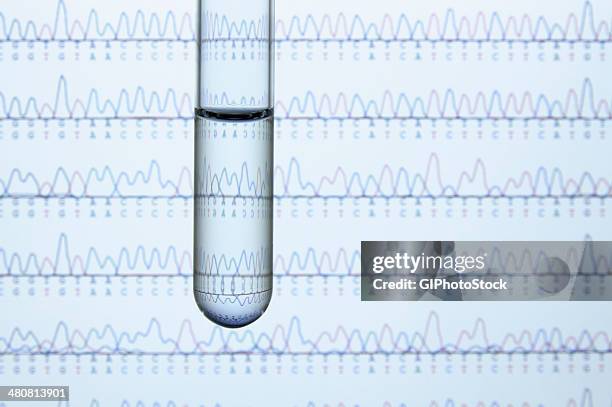 test tube containing liquid with computer monitor displaying results of automated dna sequencing - secuenciación de polímeros fotografías e imágenes de stock
