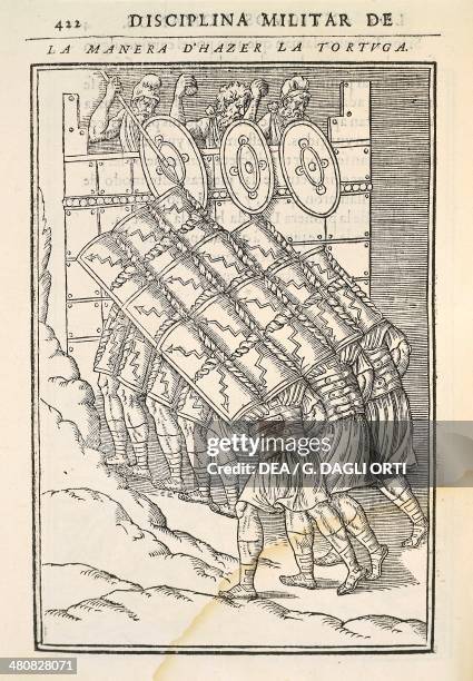 Tortoise Rome 43 Biblioteca De Santiago Stock Photos, High-Res Pictures, and Images ...