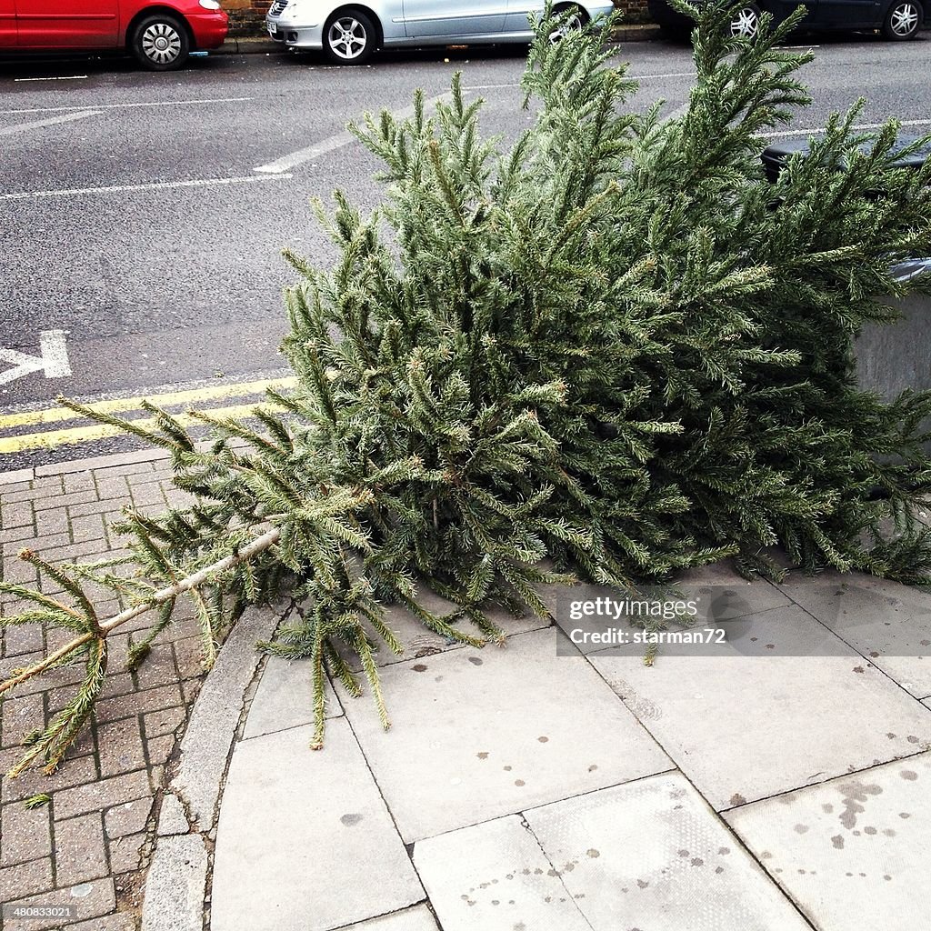 Christmas tree discarded on street, London, England, UK