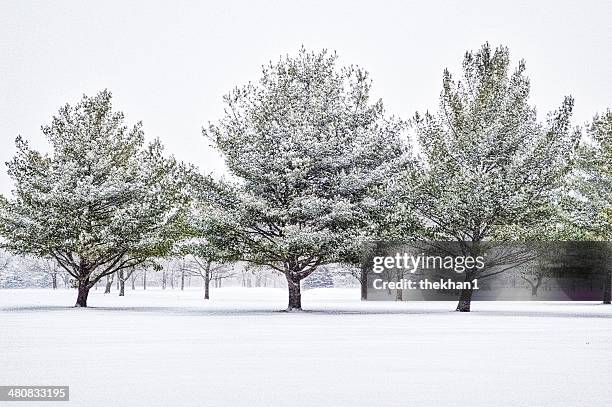 winter landscape, fishers, indiana, america, usa - fishers indiana stock pictures, royalty-free photos & images