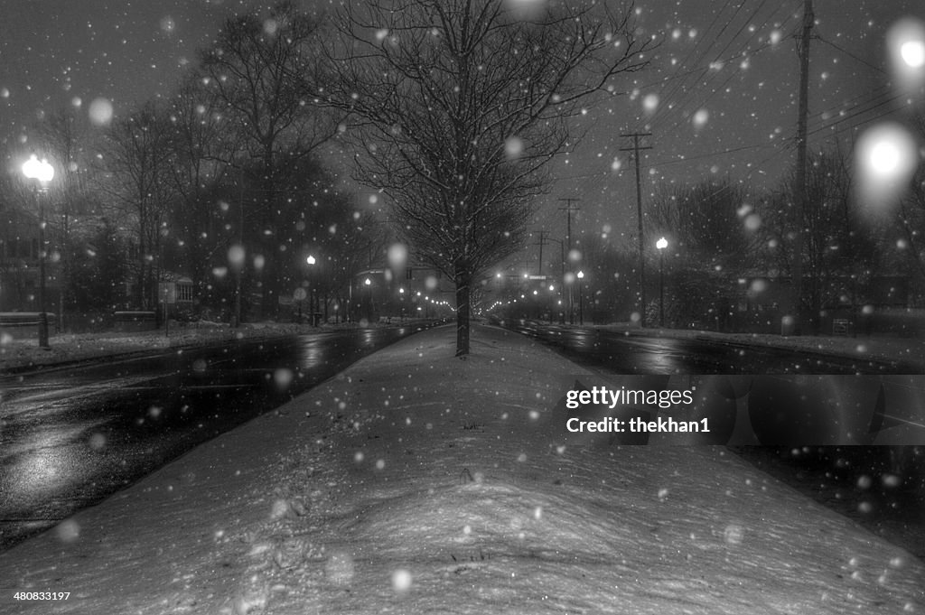 USA, Indiana, Hamilton County, Fishers, Winter Wonderland