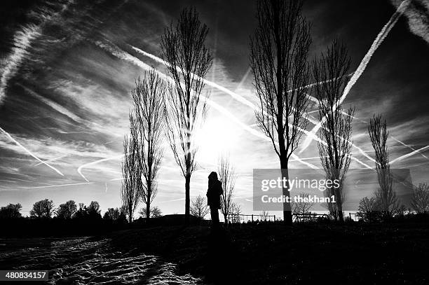 usa, indiana, hamilton county, fishers, silhouette of person standing outdoors - fishers indiana stock pictures, royalty-free photos & images