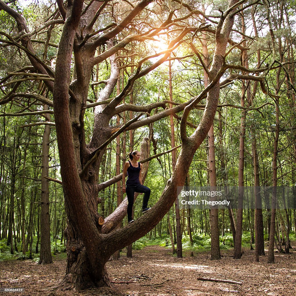 Woman on tree