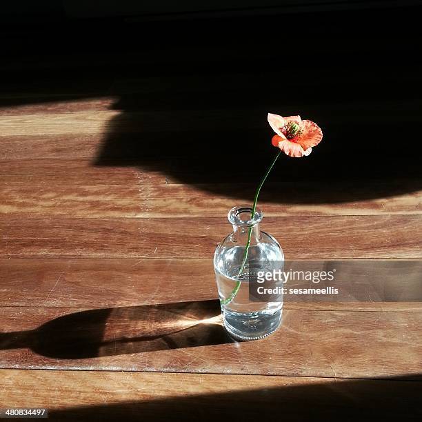 poppy flower in a vase on wooden table - poppies in vase stock pictures, royalty-free photos & images