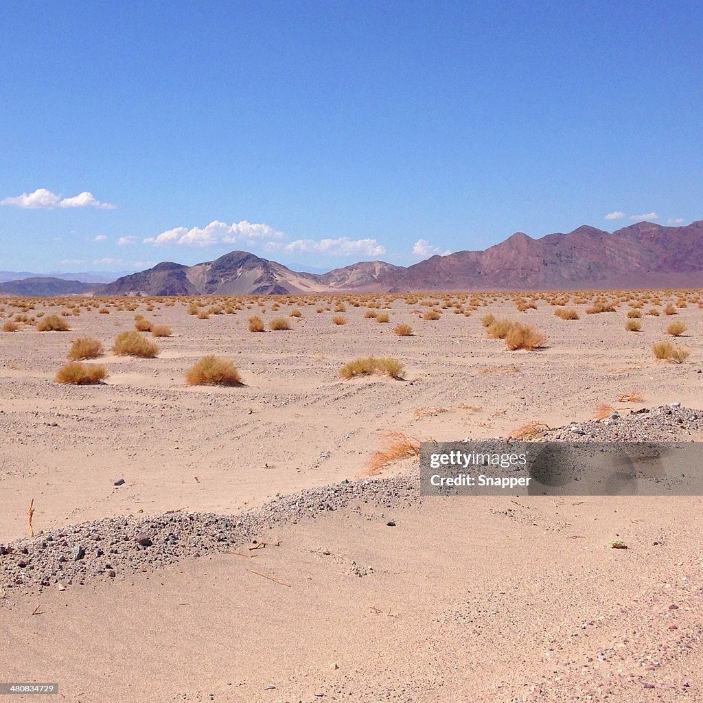 USA, Nevada, Desert landscape