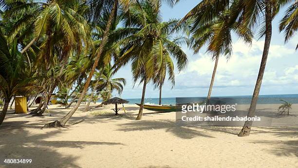 nigeria, lagos, vista de la idílica playa - nigeria fotografías e imágenes de stock