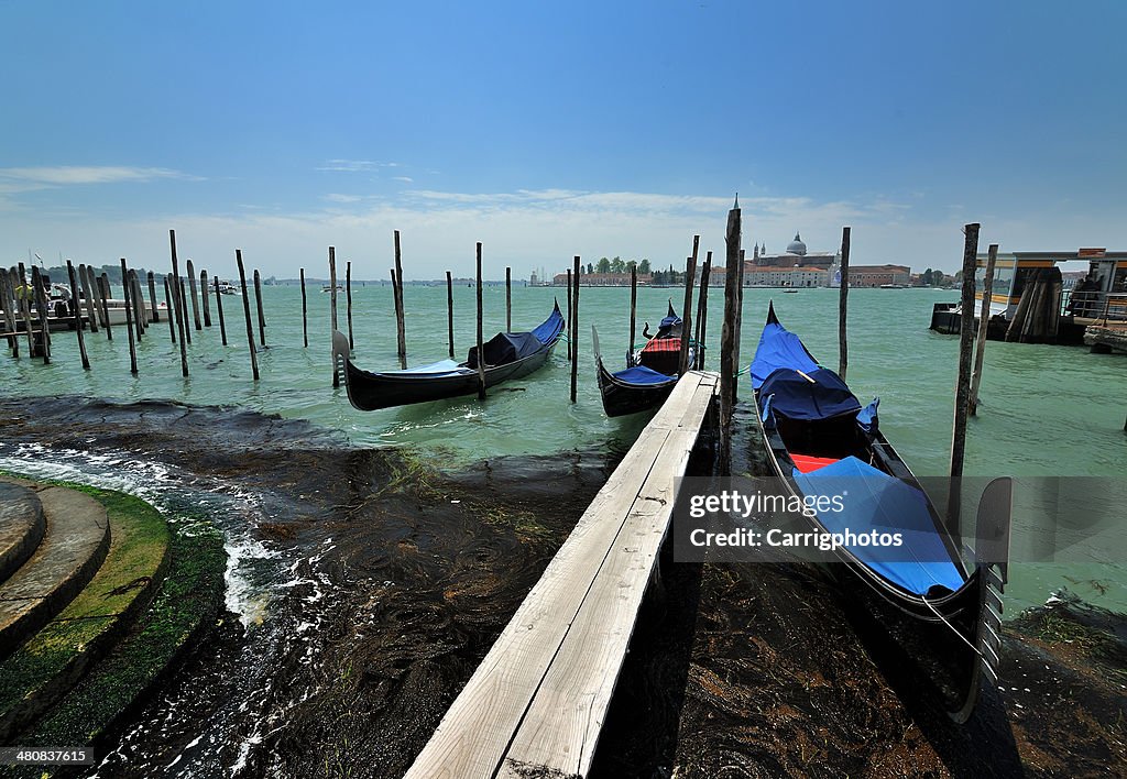 Italy, Venice, Gondolas parking