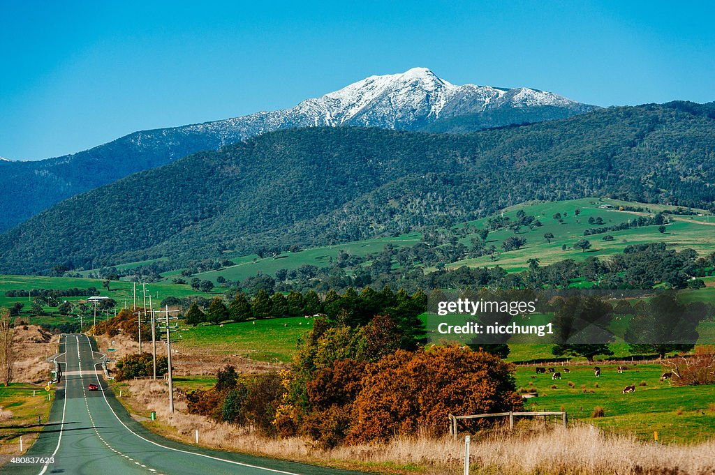 Australia, Victoria, Shire of Mansfield, Mt Bulle village, Snowcapped Mt Buller