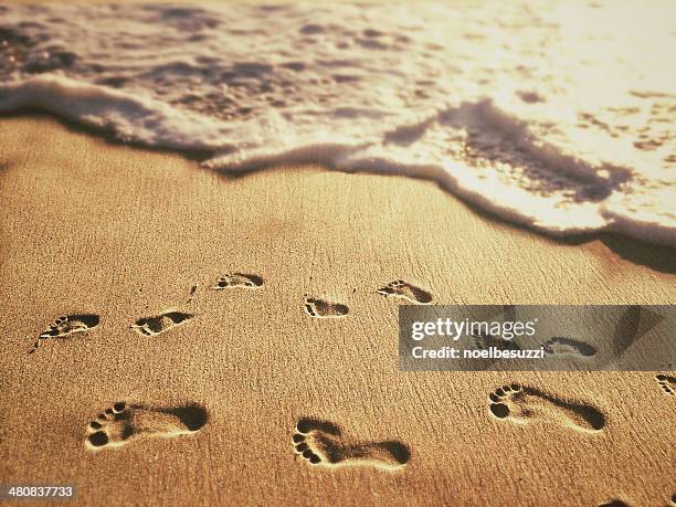 Ilua Footprints Footprints Different Photos and Premium High Res Pictures - Getty Images