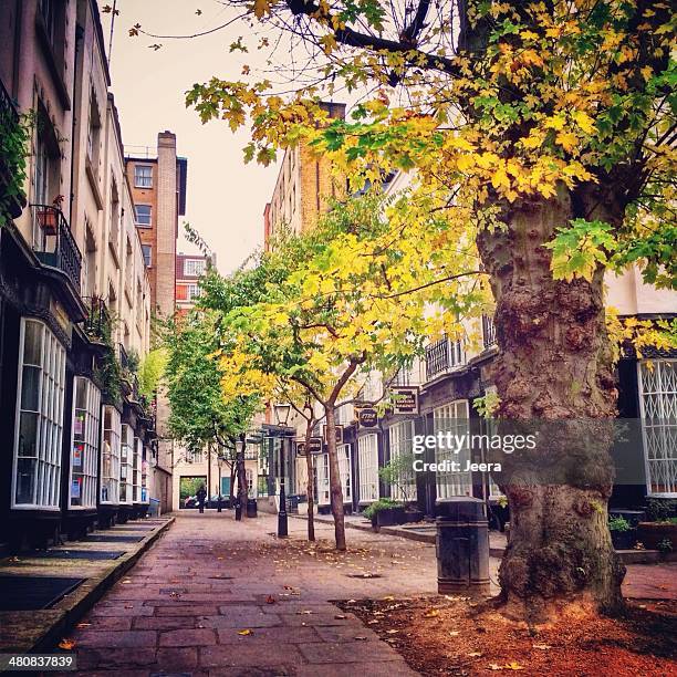 united kingdom, london, greater london, bloomsbury, st pancras, woburn place - bloomsbury london stock pictures, royalty-free photos & images