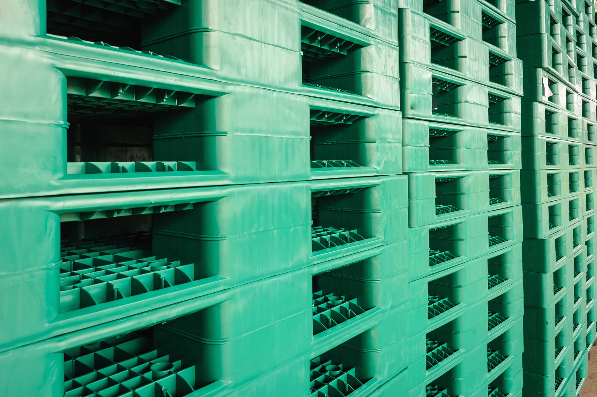 plastic pallet