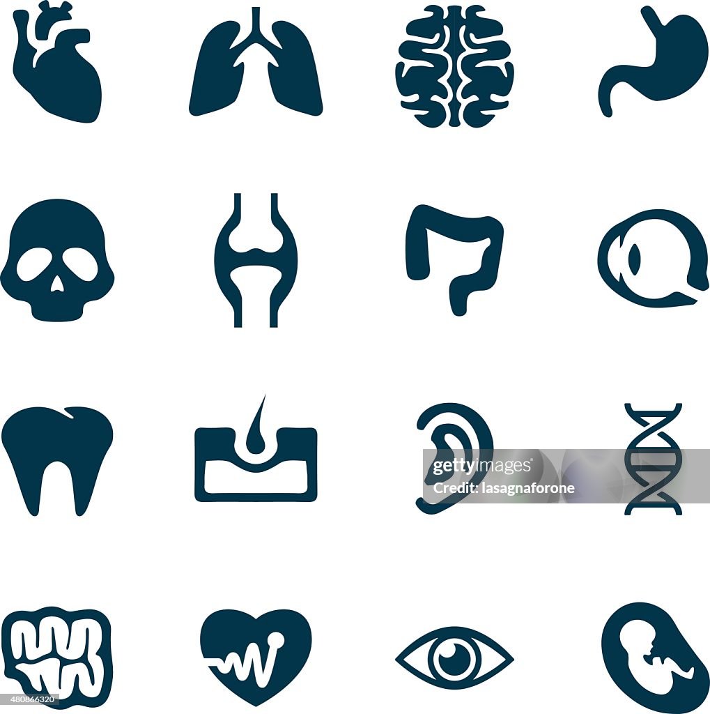 Human Icon Set