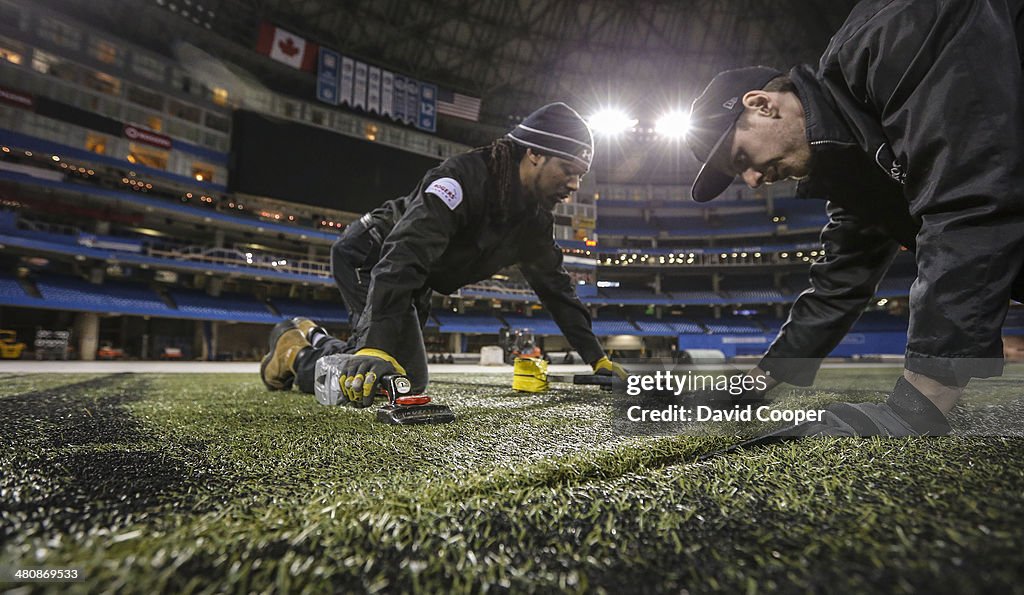 Baseball Turf