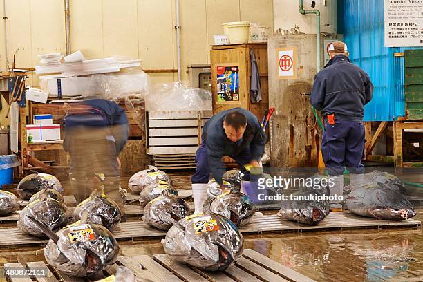 inspecting tuna at tsukiji fish market - yellowfin tuna stock pictures, royalty-free photos & images