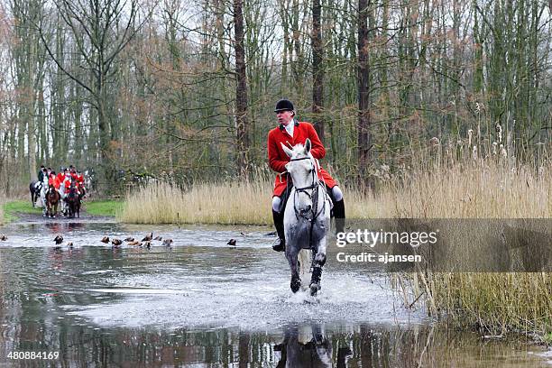 hunters riding their horses through a swamp - the hunt stock pictures, royalty-free photos & images