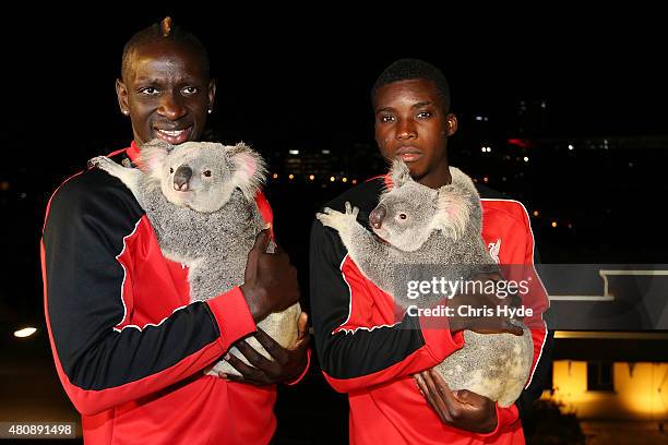 Liverpool FC players Mamadou Sakho and Sheyi Ojo cuddle Australia Zoo koalas Mackenzie and India at Gambaro Hotel on July 16, 2015 in Brisbane,...