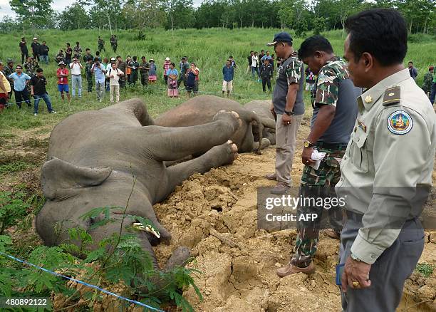 This photo taken on July 15, 2015 shows Thai officials inspecting three dead elephants at Kaeng Krachan national park in Prachuap Khiri Khan...