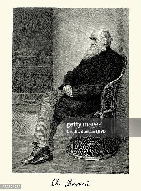 illustrazioni stock, clip art, cartoni animati e icone di tendenza di ritratto di charles darwin - charles darwin naturalista