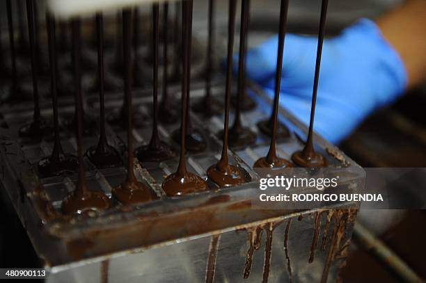 Pacari Ecuadorean Pacari Chocolate Photos and Premium High Res Pictures ...