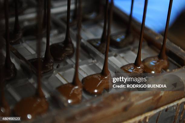 Pacari 43 Ecuadorean Pacari Chocolate Photos & High Res Pictures - Getty Images
