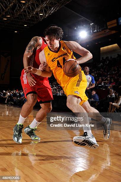 Kyrylo Fesenko of the Canton Charge drives to the hoop against Damen Bell-Holter of the Maine Red Claws at the Canton Memorial Civic Center on March...