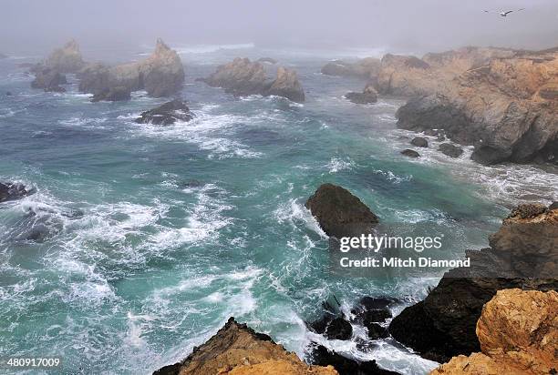 3,347 Fort Bragg Ca Stock Photos, High-Res Pictures, and Images