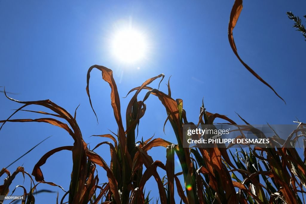 FRANCE-WEATHER-CLIMATE-HEAT