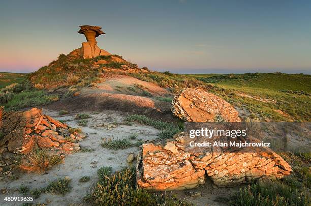 Sandstone Hoodoo Near Hell Creek Montana High-Res Stock Photo