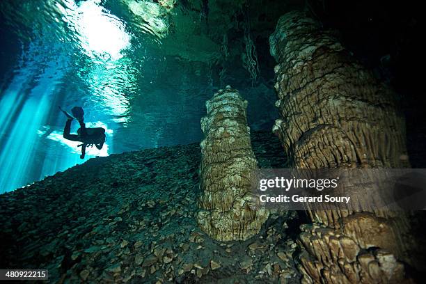 diver swimming among stalagmites - cenote bildbanksfoton och bilder