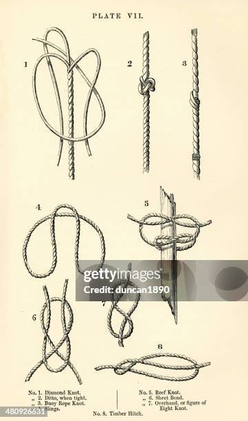 illustrations, cliparts, dessins animés et icônes de les nœuds - noeud coulant en huit