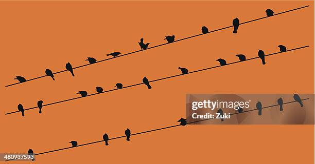 ilustraciones, imágenes clip art, dibujos animados e iconos de stock de fila de pájaros en un cable - telephone line