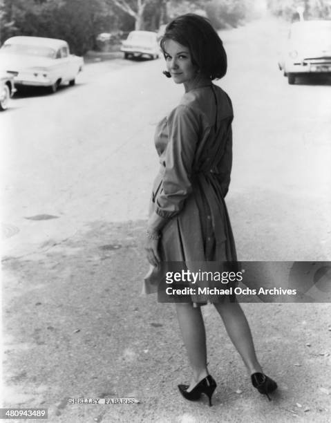 Entertainer Shelley Fabares poses for a portrait in circa 1965.