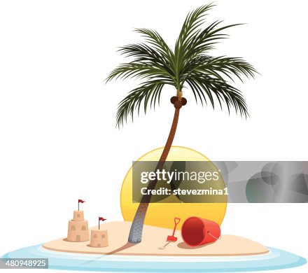 Beach Palm Tree Beach Palm Tree