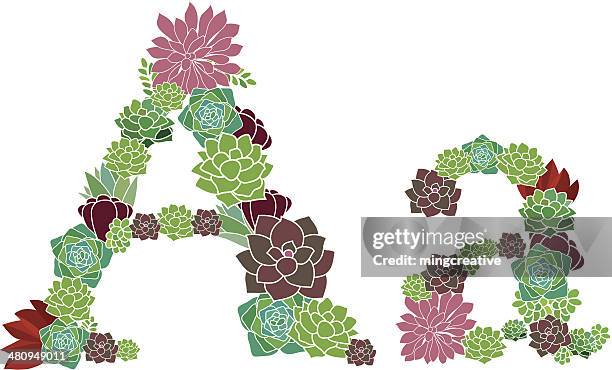 ilustraciones, imágenes clip art, dibujos animados e iconos de stock de un suculento y una carta - letra a con flores vector a