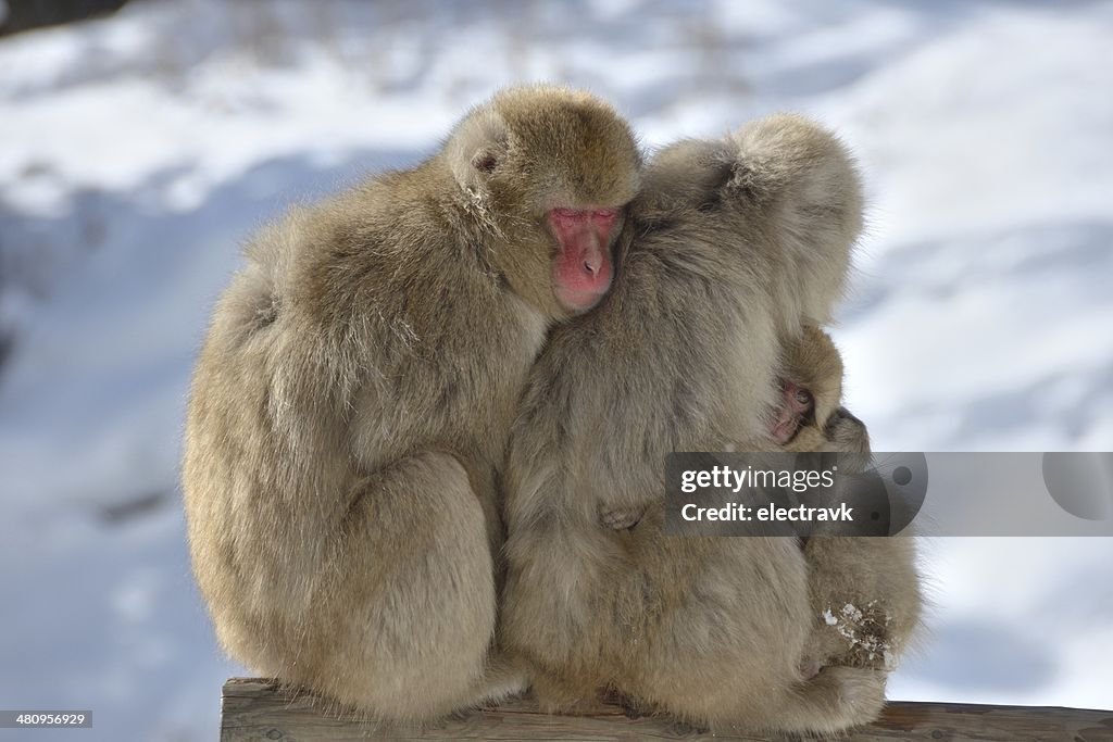 Warm hug